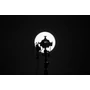 Kép 5/9 - Aputure Spotlight mini lens 19*