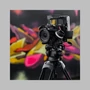 Kép 18/18 - Caruba Videostar 180 Pro videó állvány + Fluid fej