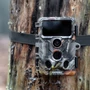 Kép 4/5 - Caruba Wildcamera Moose 4K - Vadkamera
