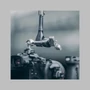 Kép 6/7 - Falcam F22 Quick Release 7 Inch Extension Magic Arm Kit
