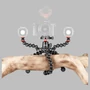 Kép 5/5 - JOBY GorillaPod 3K PRO Rig - felszerelve, fára rögzítve