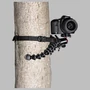 Kép 4/4 - JOBY GorillaPod Rig Upgrade - kamerával, fára rögzítve