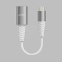 Kép 1/4 - JOBY USB-C to USB-A 3.0 adapter kábel - Ezüst