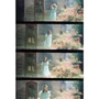 Kép 14/14 - Lomography LomoKino mozgókép rögzítő kamera