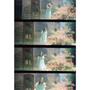 Kép 14/14 - Lomography LomoKino mozgókép rögzítő kamera