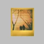 Kép 7/8 - Polaroid Color i-Type Film Double Pack - Golden Moments Edition Lejárt